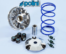 Polini Performance Variator