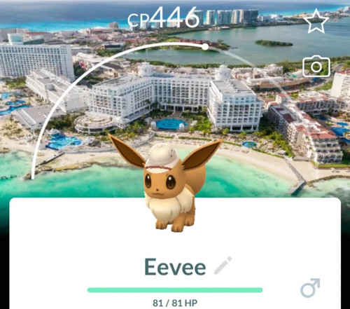 Pokemon city safari eevee - city,