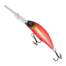 Esca da Pesca Roccia a