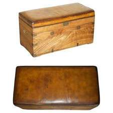 CIRCA 1880 LEGNO DI CANFORA E