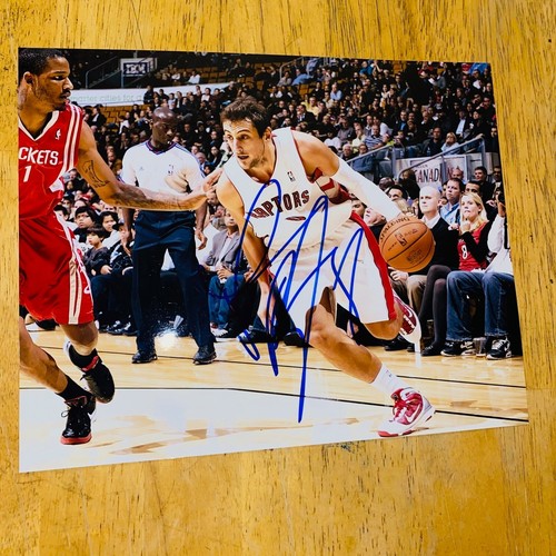 Marco belinelli rapaci foto - belinelli,