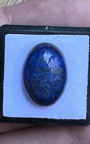 Cabochon lapislazzuli ovale - in,
