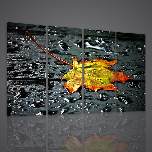 Quadri moderni xxl fall leaves - xxl,