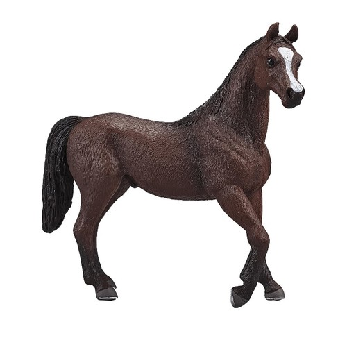 Mojo 387084 cavallo arabo - mojo,