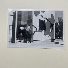 marcia su roma ,orbace ,bari , squadristi , ,animata,fmr148