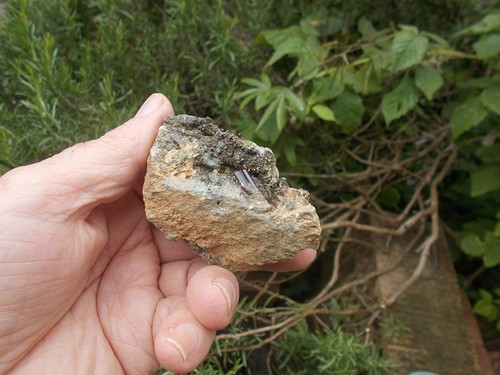 Minerali c21 vesuvianite - c21,