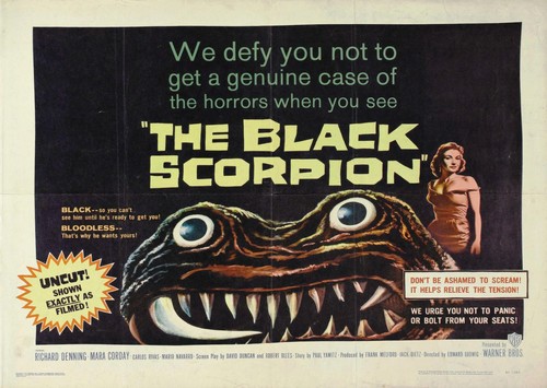 Poster vintage film - , horror