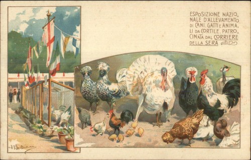 Esposizione allevatori animali - esposizione,