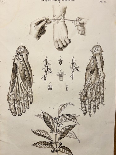Tavolo antico rame 1834 - tavolo,
