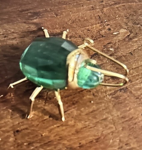 Insetto scarabeo grande