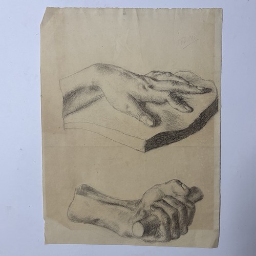 Studio anatomico disegno a - anatomico.,