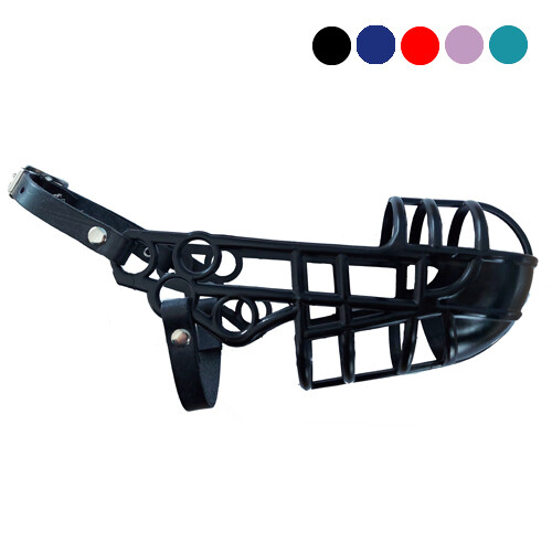 Whippet muzzle museruole - whippet,