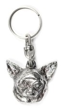 Chihuahua a pelo corto -