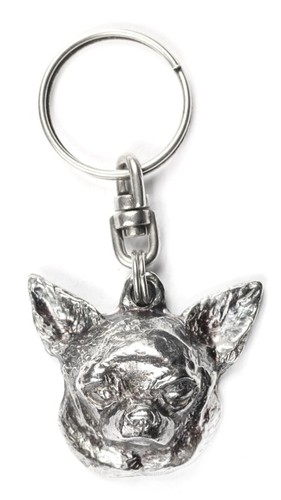 Chihuahua pelo corto - chihuahua,