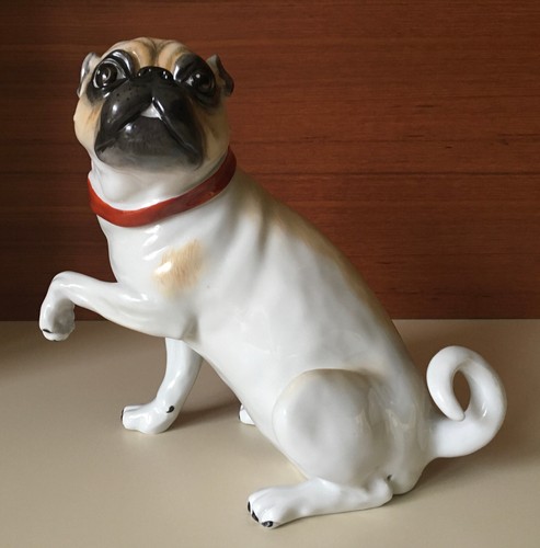 Cane carlino porcellana - carlino,