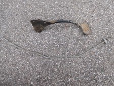 MOTO CROSS CABALLERO 50 TX 94