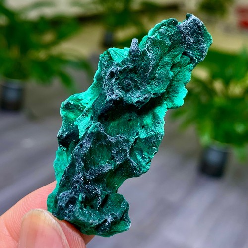 20g malachite lucida naturale - lucida,