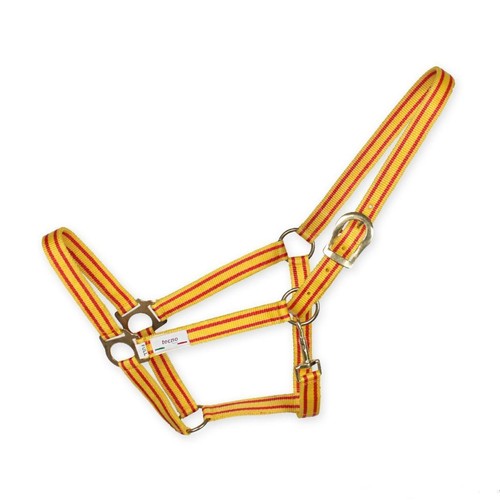 Cavezza tecno economiche - tecno,