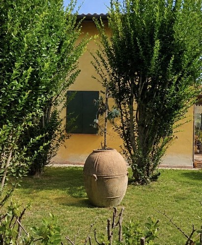 Orcio antico terracotta - antico, da