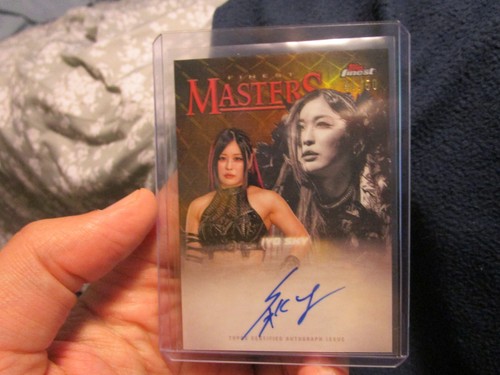 2025 wwe topps finest - 2025, masters