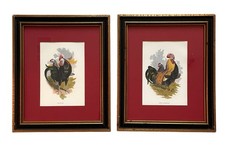 Stampe vintage grigie Dorking