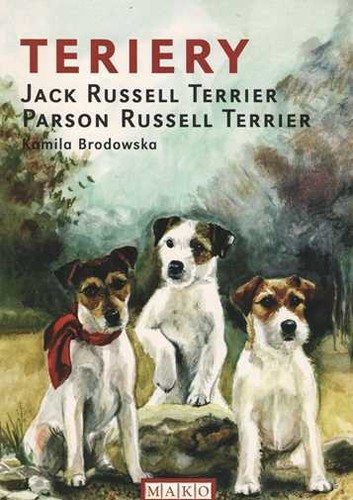 Terriery jack russell terrier - terriery,