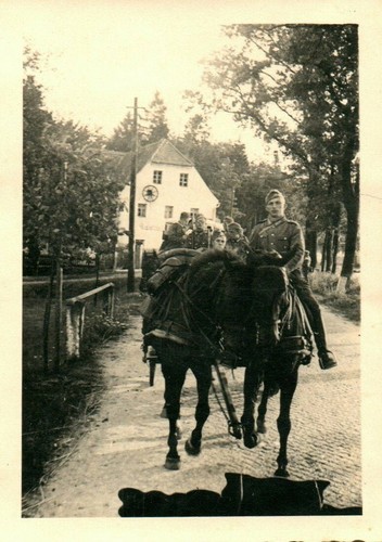 Foto wehrmacht trübpl - wehrmacht,