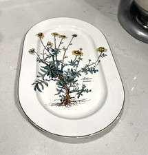 Villeroy & Boch BOTANICA 13" x