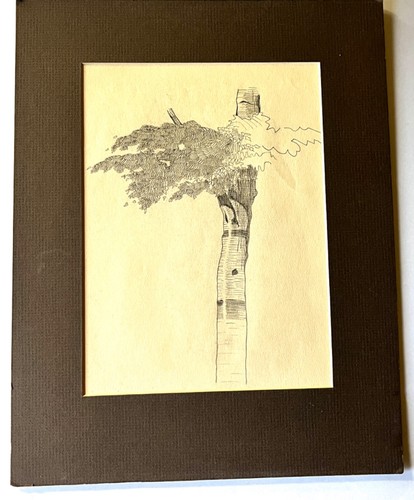 Quadro non firmato graziani - quadro,