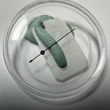 Rolex Daytona Black White Arrow Chronograph Hand Paul Newman 6263 6239 6241 6264