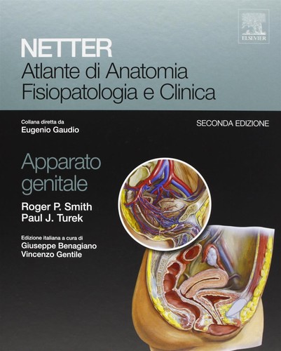 Netter atlante anatomia - netter., di