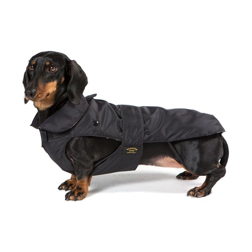 Manto per cane - cane, fashion