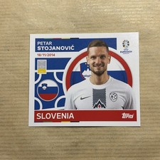 SVN 8 STOJANOVIC SLOVÉNIE