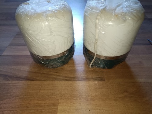 Coppia lampade europhon da - europhon,