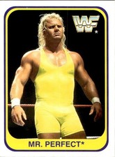 card wwf wrestling merlin 1991