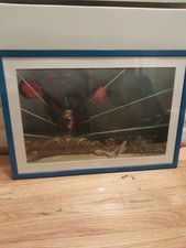 Ralph Steadman Originale