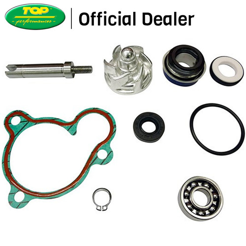 Aa00833 kit revisione pompa - aa00833,