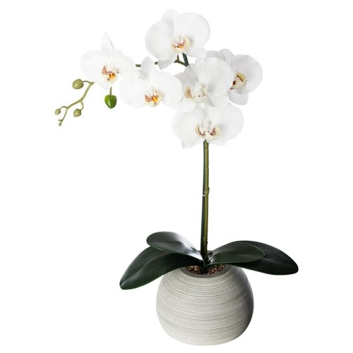 Pianta artificiale orchidea