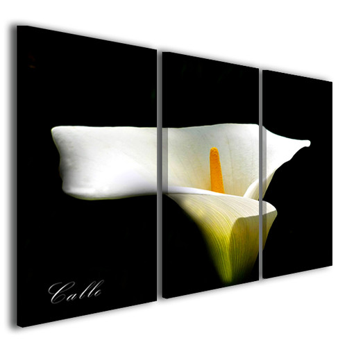 Quadro fiori callè - fiori, su