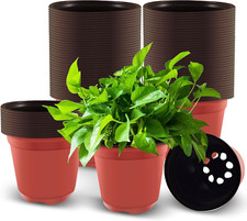 100 Vasi in Plastica per