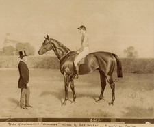 Goupil, Reproduction de
