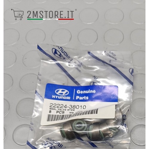 Kit pezzi paraolio - 8, valvole