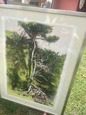 Litografia cazzaniga originale - cazzaniga,