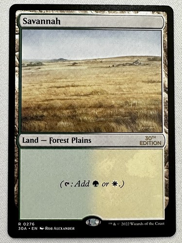 Savannah modern frame dual - savannah,