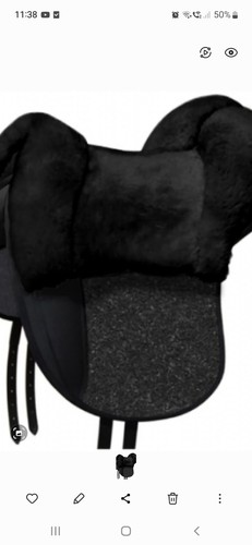 Grandeur tomentum dressage - grandeur,
