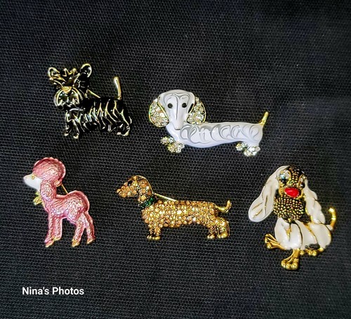 Spilla cane strass smalto