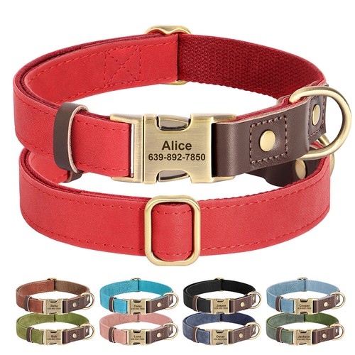 Collare cane personalizzato - personalizzato, in