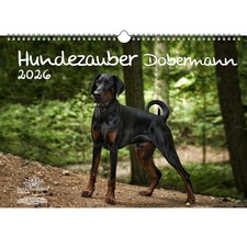 Magia per cani Dobermann DIN