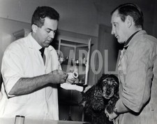 Foto Vintage Animali Cani Cocker Spaniel Visita dal Veterinario stampa 27x22 cm