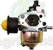 Carburatore rasaerba T 475 139